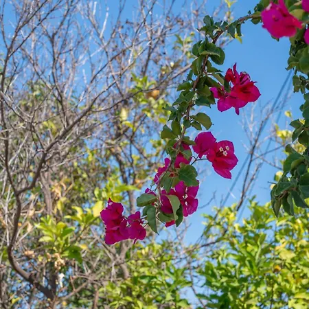 假日公园 Terra Ionian *