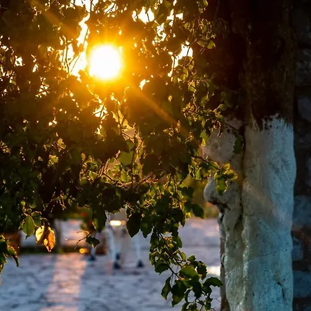 Ionianeon * Agios Ilias (Elis)