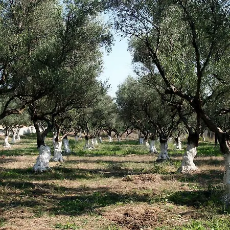 Ionianeon Semesterpark Agios Ilias (Elis)