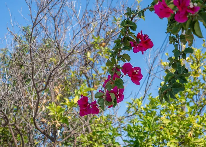 Vakantiepark Terra Ionian *